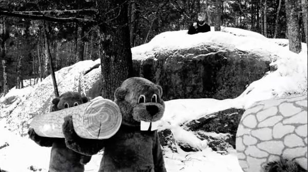 Still recovering from an evening with Hundreds of Beavers