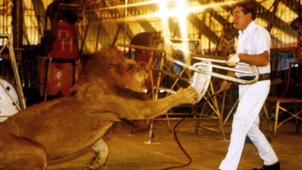 Fast, Cheap and Out of Control (1997)