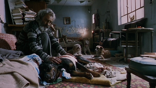Amores Perros (2001)