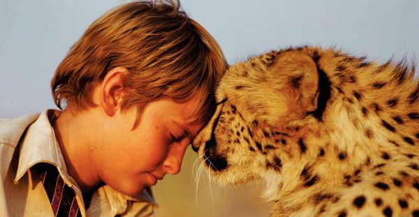 Duma (2005) - guest review