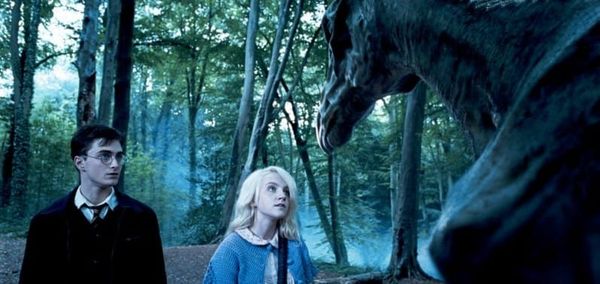 Harry Potter and the Order of the Phoenix (2007)