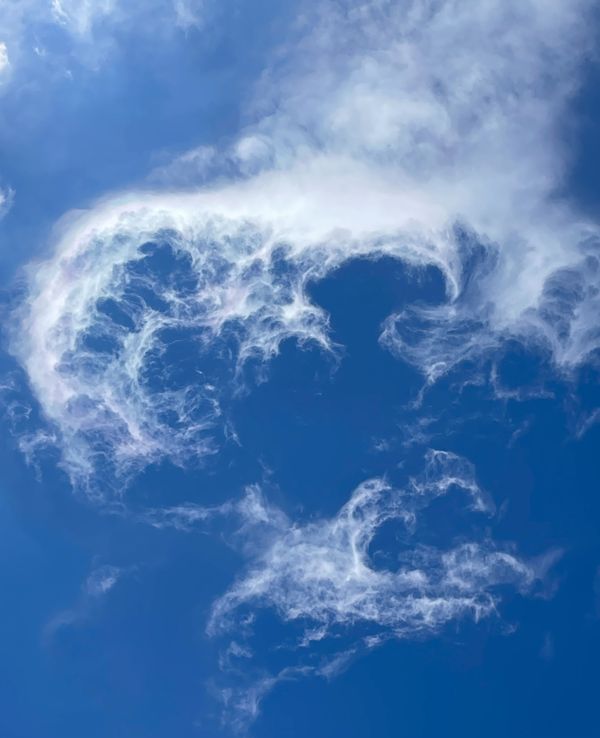 The Detectorist: Monday, July 17 — Allison Russell returns!