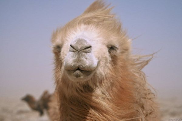 A Big Hello to My Younger Readers!