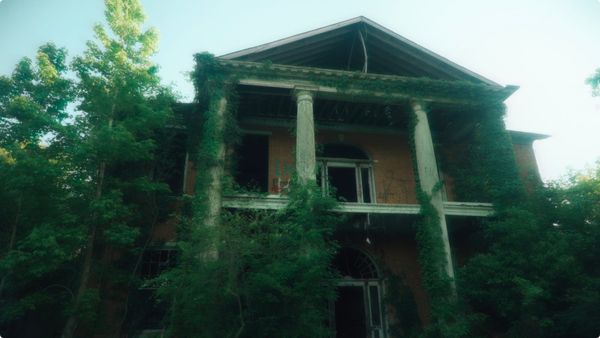 Natchez: my favorite discovery of 2026 so far