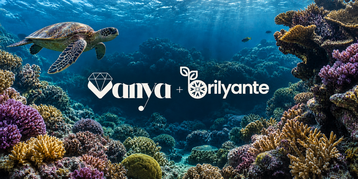 A sea turtle swimming through a vibrant coral reef, with the vanya and brilyanteph logos centered in the deep blue water.