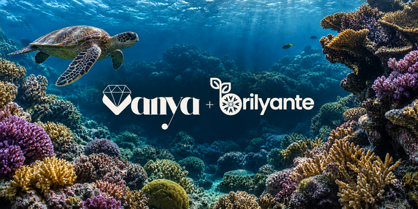 A sea turtle swimming through a vibrant coral reef, with the vanya and brilyanteph logos centered in the deep blue water.
