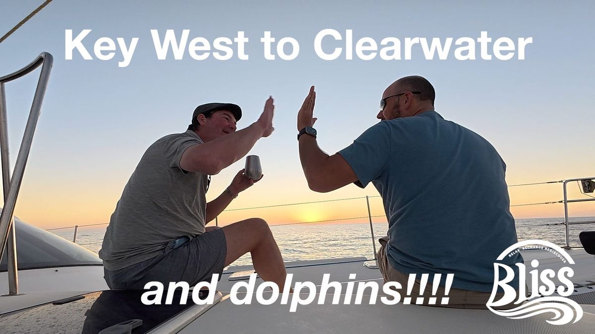 Dolphins, Storms, and a Deep Conversation