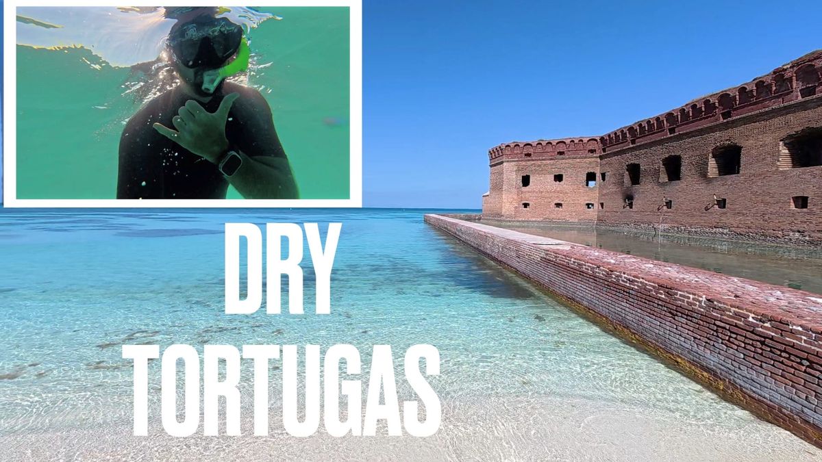 Dry Tortugas, Fort Jefferson, Snorkeling, and Birds!