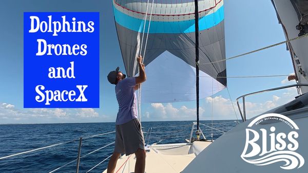 Dolphins, Drones, and a SpaceX Surprise