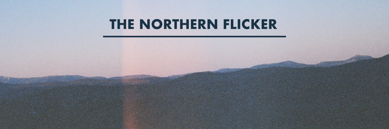 the northern flicker 