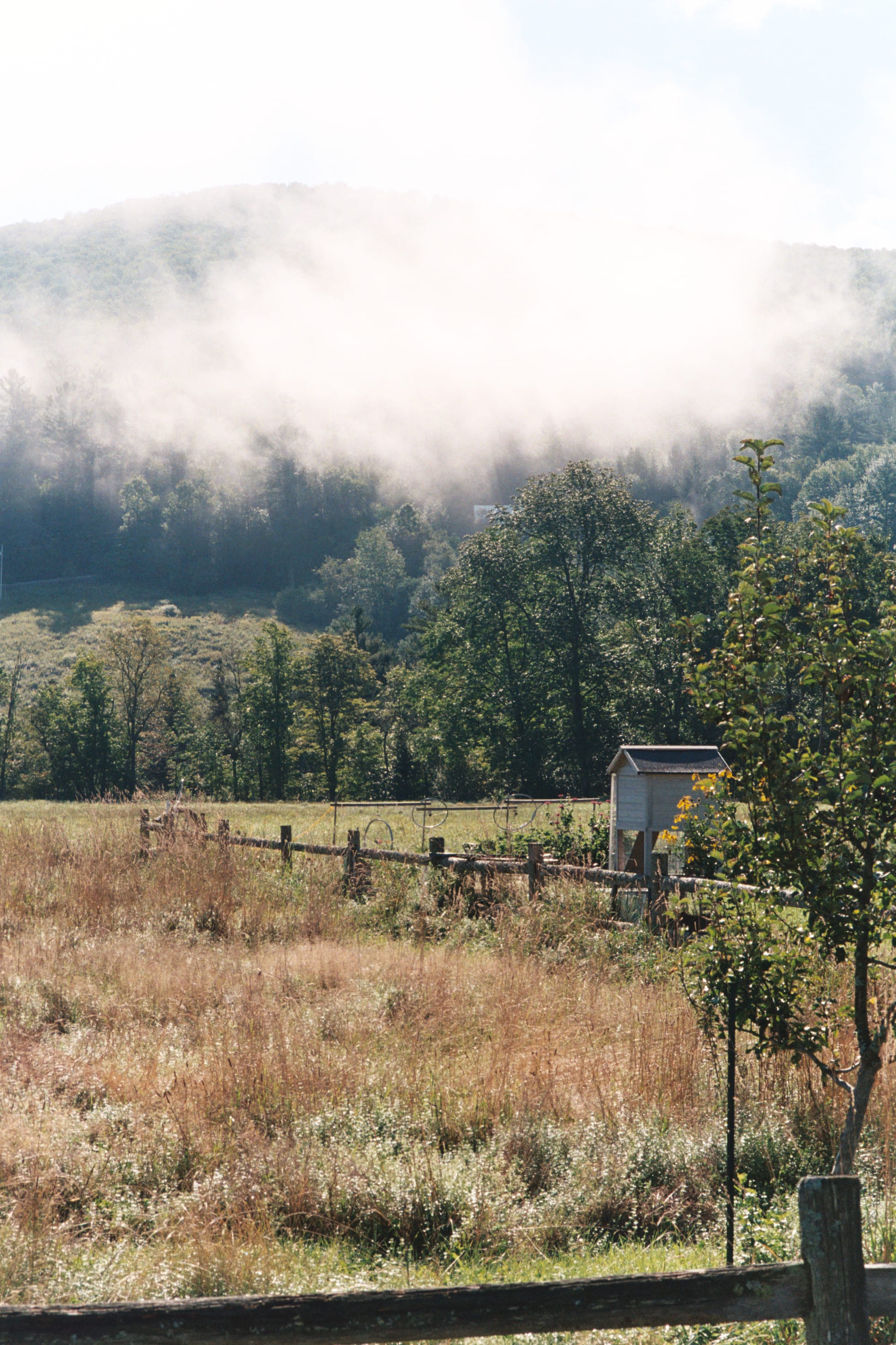A film photograph depicts a grassy field in warm hues. A wooden fence crosses diagonally across the composition. The horizon point is a swiftly rising wall of foggy mountains. The season is summer. 