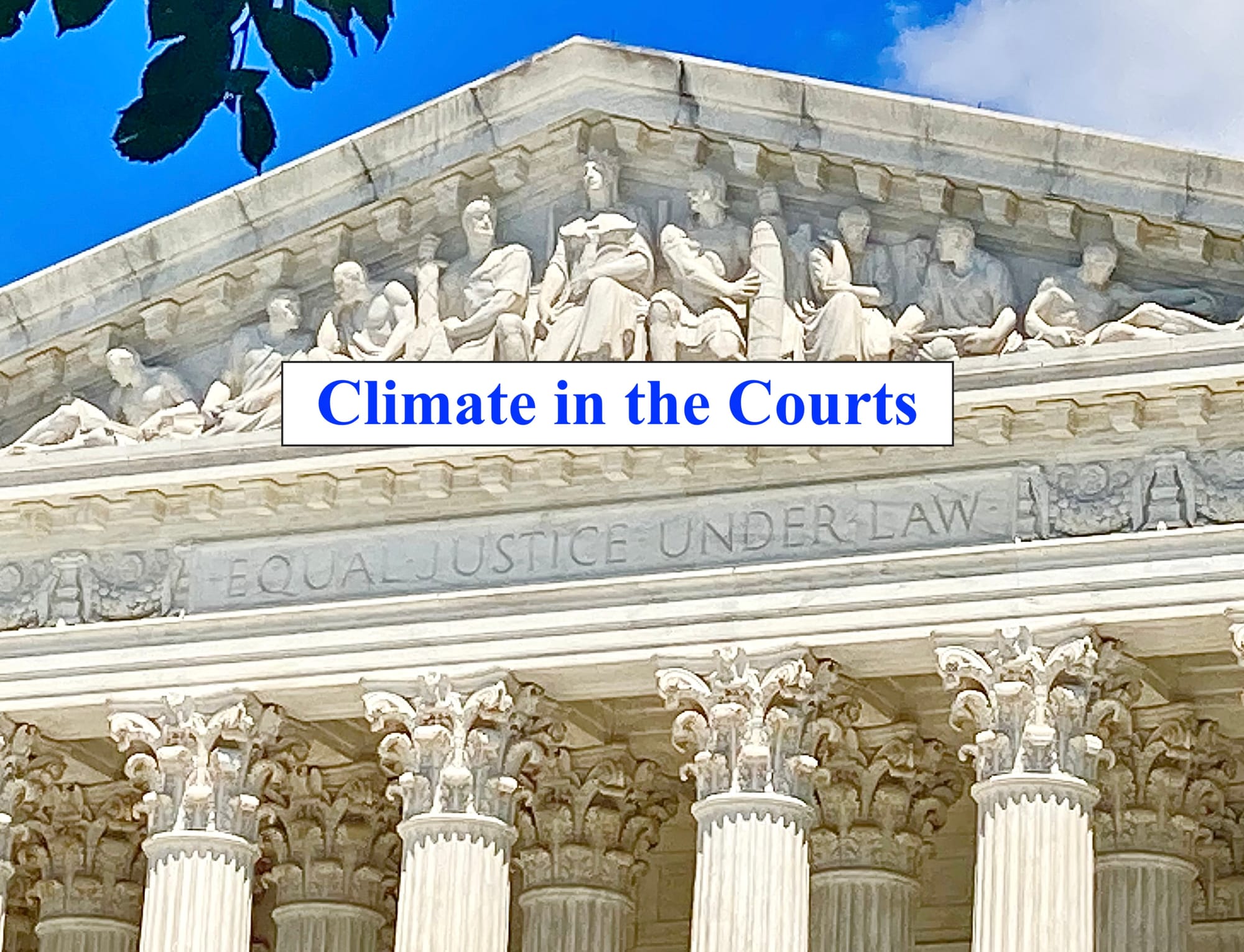 Climate in the Courts