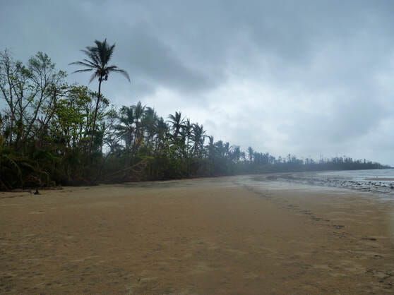 Australia Is Fueling Climate Crisis And Violating Human Rights, Environmental Law Groups Tell UN Human Rights Council