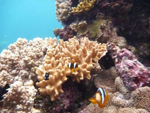 World "Ocean Court" Issues Groundbreaking Decision Affirming States Must Slash GHG Emissions To Protect Marine Environment