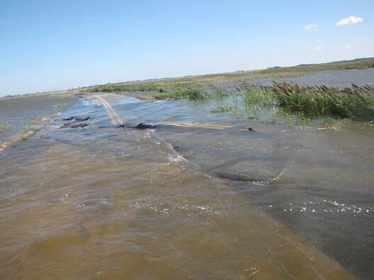 Delaware Just Sued 30 Fossil Fuel Companies And The American Petroleum Institute Over Climate 'Denial And Disinformation'