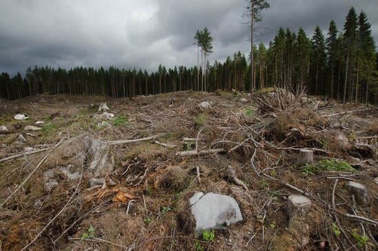 First Climate Lawsuit In Finland Challenges Government’s Climate Law Compliance