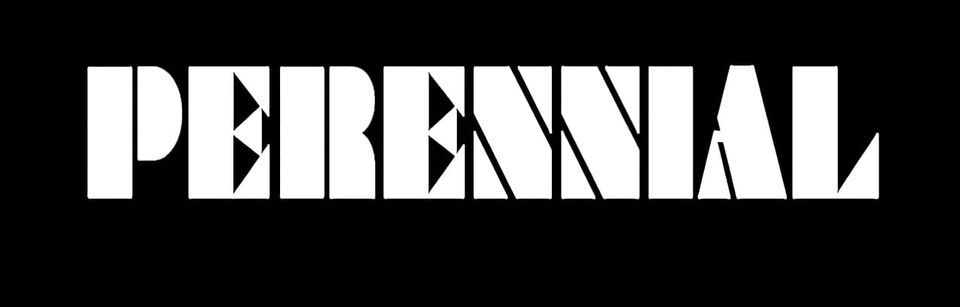 Art History Release Shows