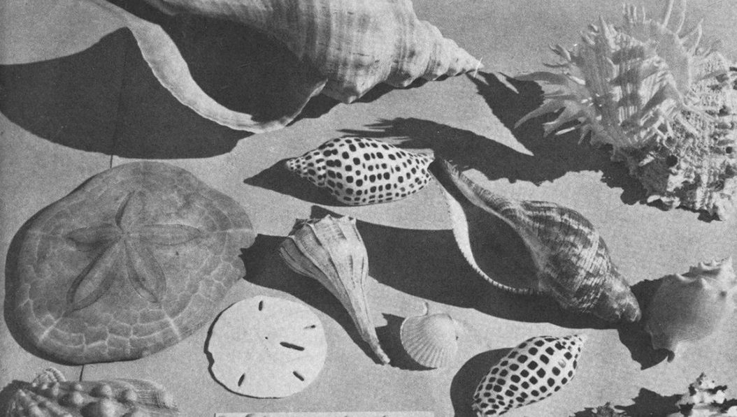 Vision > plan: a powerful visualization practice to find clarity on what you actually want.