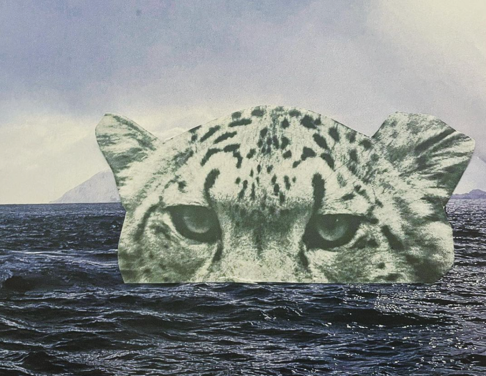 Why > How: know your purpose and the rest will follow.