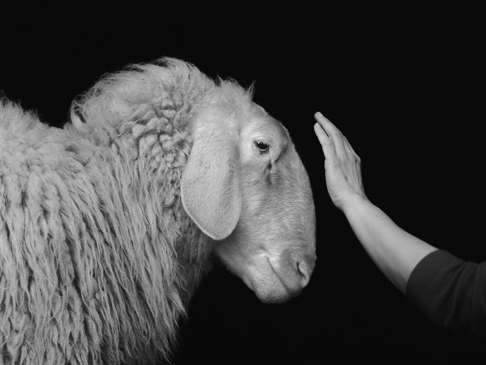Tact: The Art and Wisdom of Relationships