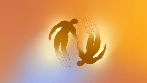 Holiday-PROMO-buckcurious