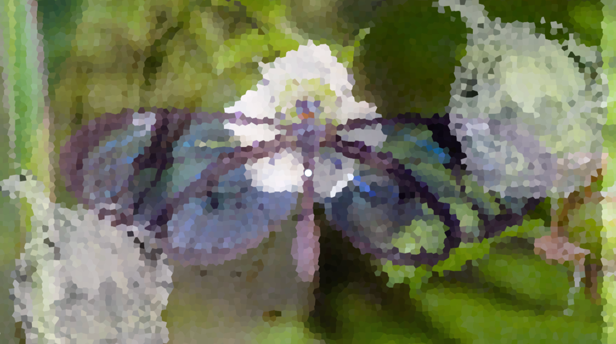 Glasswing, Glass Houses, Glass Onions, and Attention