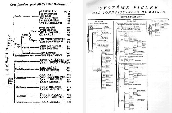 Why We Need an AI Agent Taxonomy Right Now But We Can’t Have One