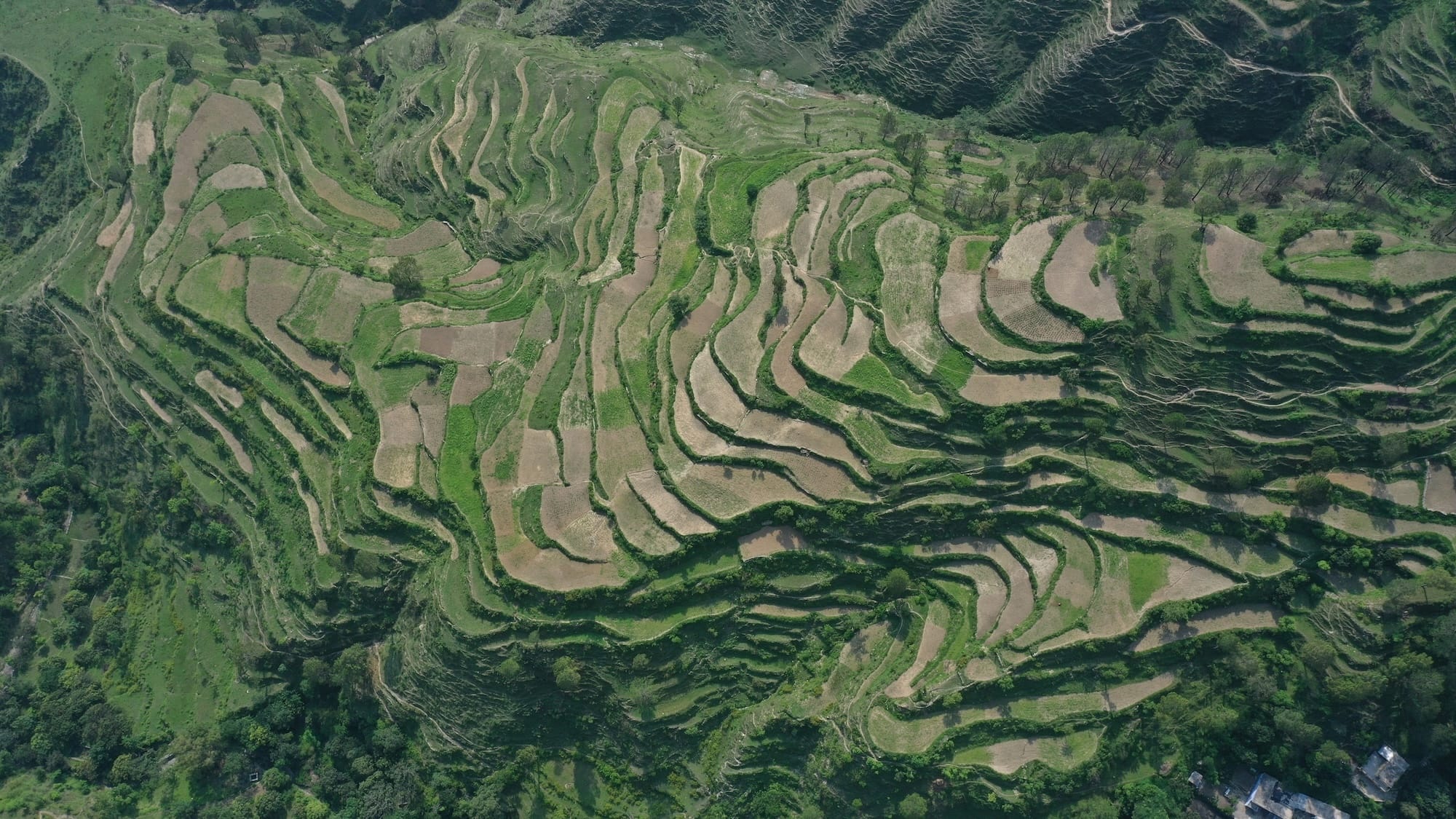 A terraced landscape