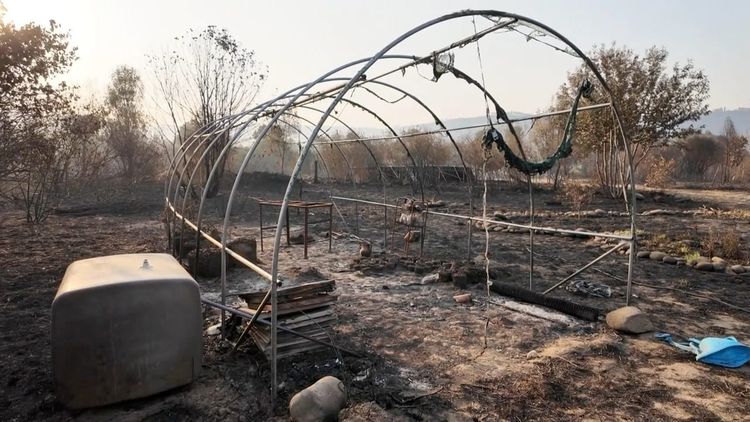 A greenhouse stripped of lining, in a burnt landscape