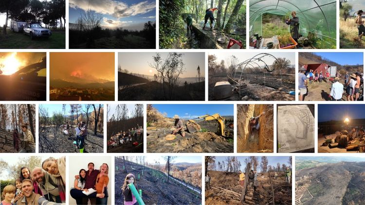 🌄 The Year 2025 in Pictures