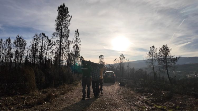 VIDEO UPDATE #5 🌀 How We’re Learning to Revive Natural Water Cycles - Part I