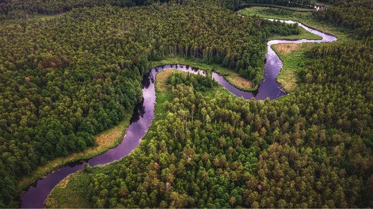 Webinars (and replays) on Water Cycle Revival 👩🏽‍🌾 Learn from Global Stewards Restoring Habitats and Inspiring Change