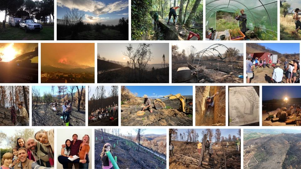 🌄 The Year 2025 in Pictures