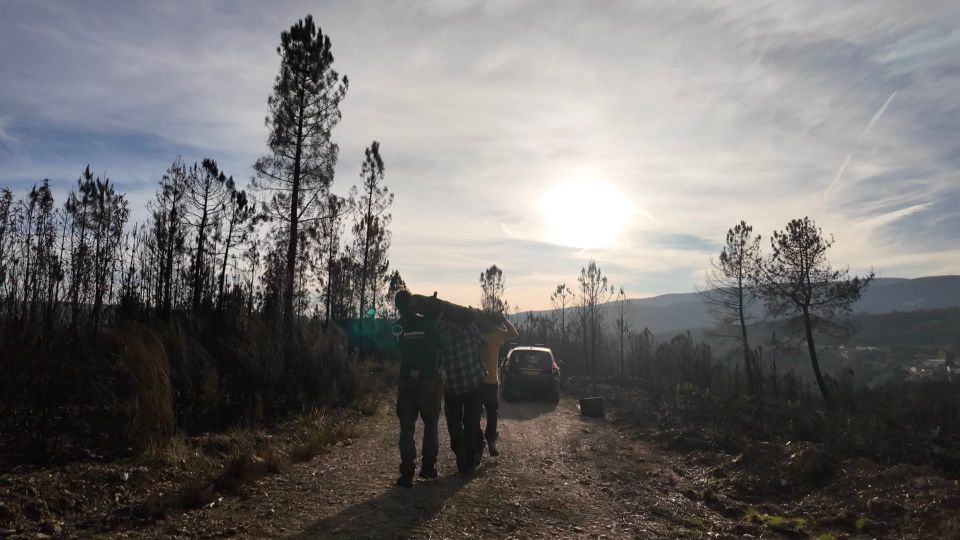 VIDEO UPDATE #5 🌀 How We’re Learning to Revive Natural Water Cycles - Part I