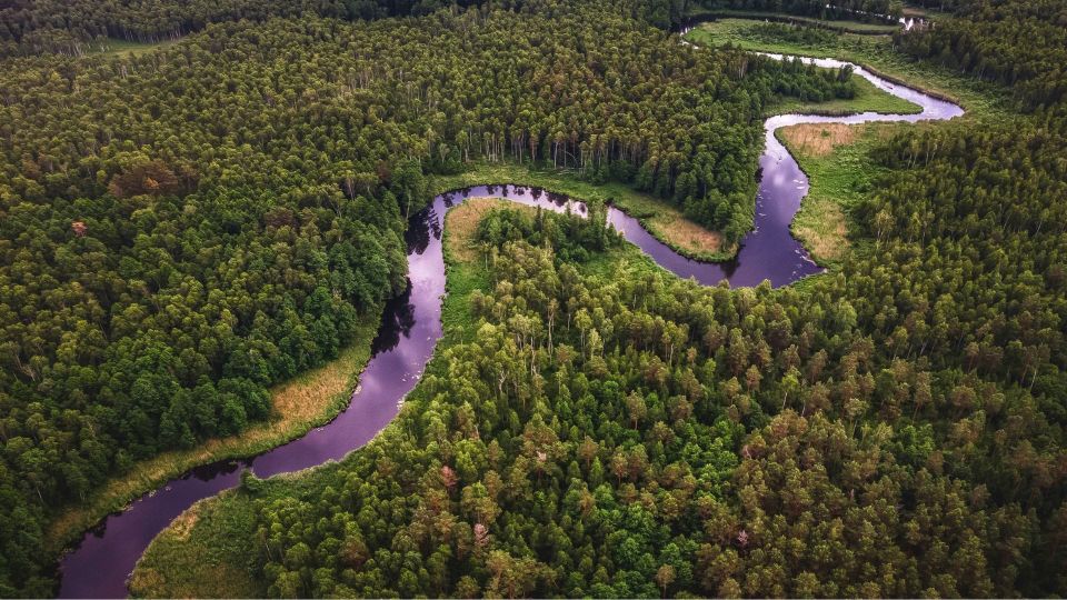 Webinars (and replays) on Water Cycle Revival 👩🏽‍🌾 Learn from Global Stewards Restoring Habitats and Inspiring Change