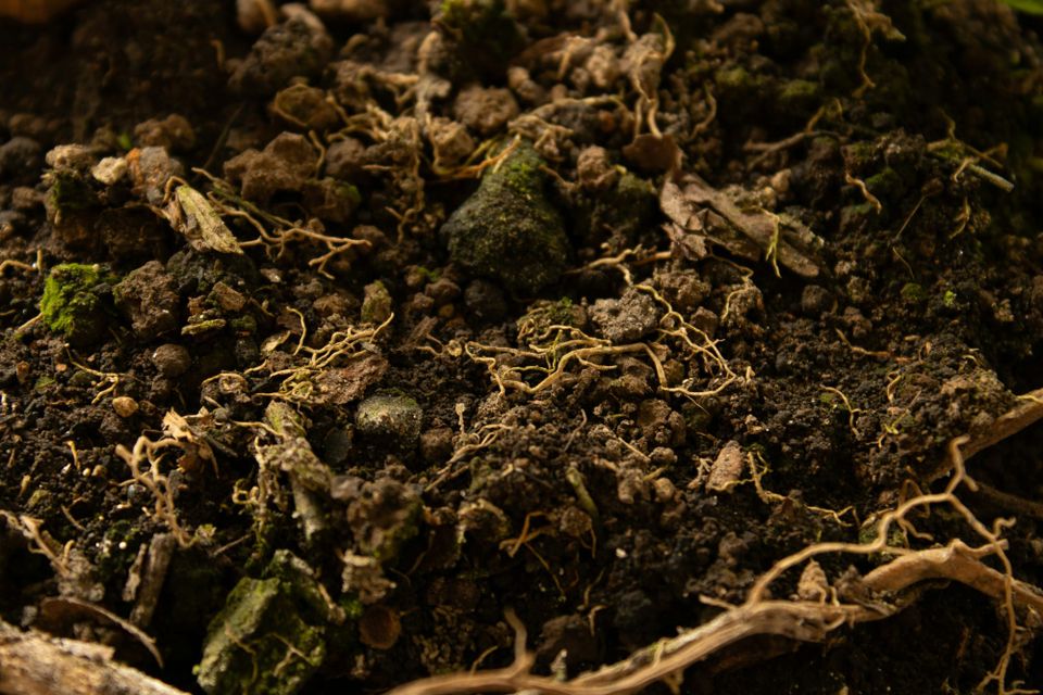 4th July 🔥💧💫 Ash2Soil #2 — Free Regeneration Workshop in Central Portugal