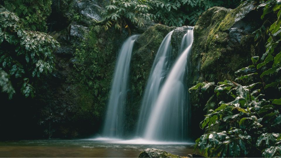 1-4 OCT 2026 💧💫 Water Cycle Revival Course in Central Portugal (+ optional experience week)