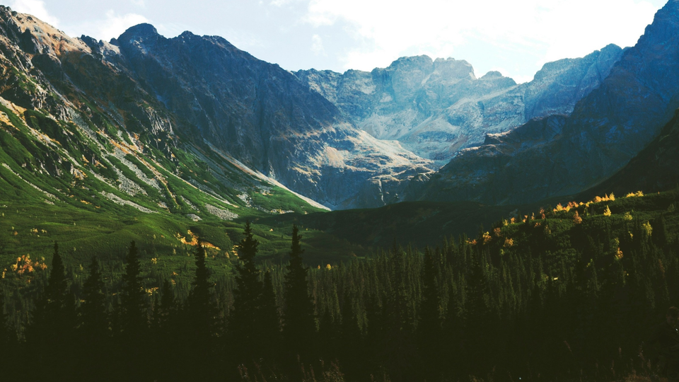 08 OCT 2026 🌄 Freeing Land, Reviving Life — How Do We Steward, Fund, and Regenerate Ecosystems for the Future? WEBINAR