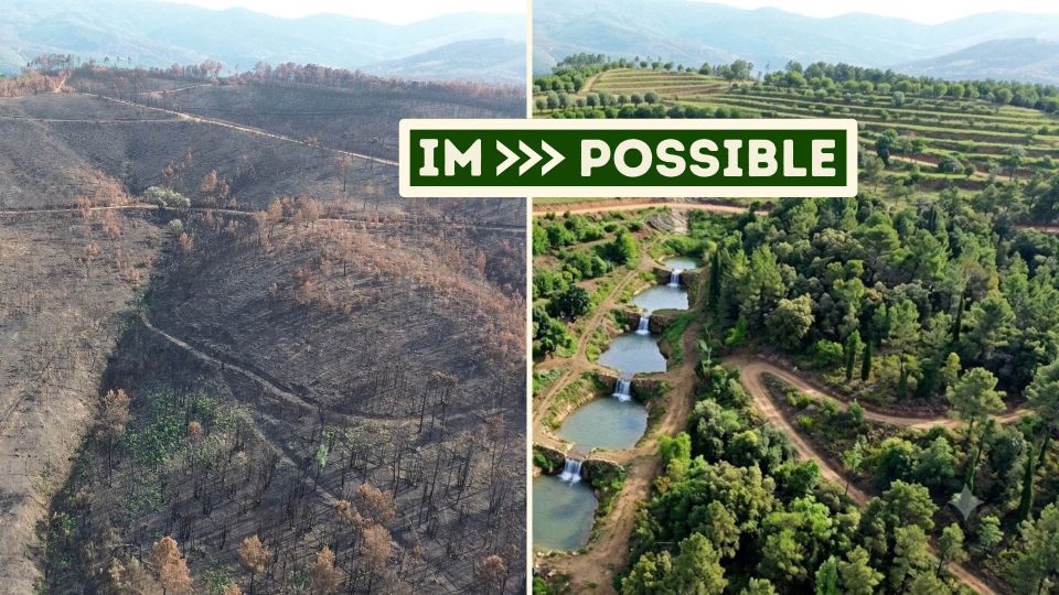4.5 Football Fields Liberated (and anything else you may have missed in 2026)