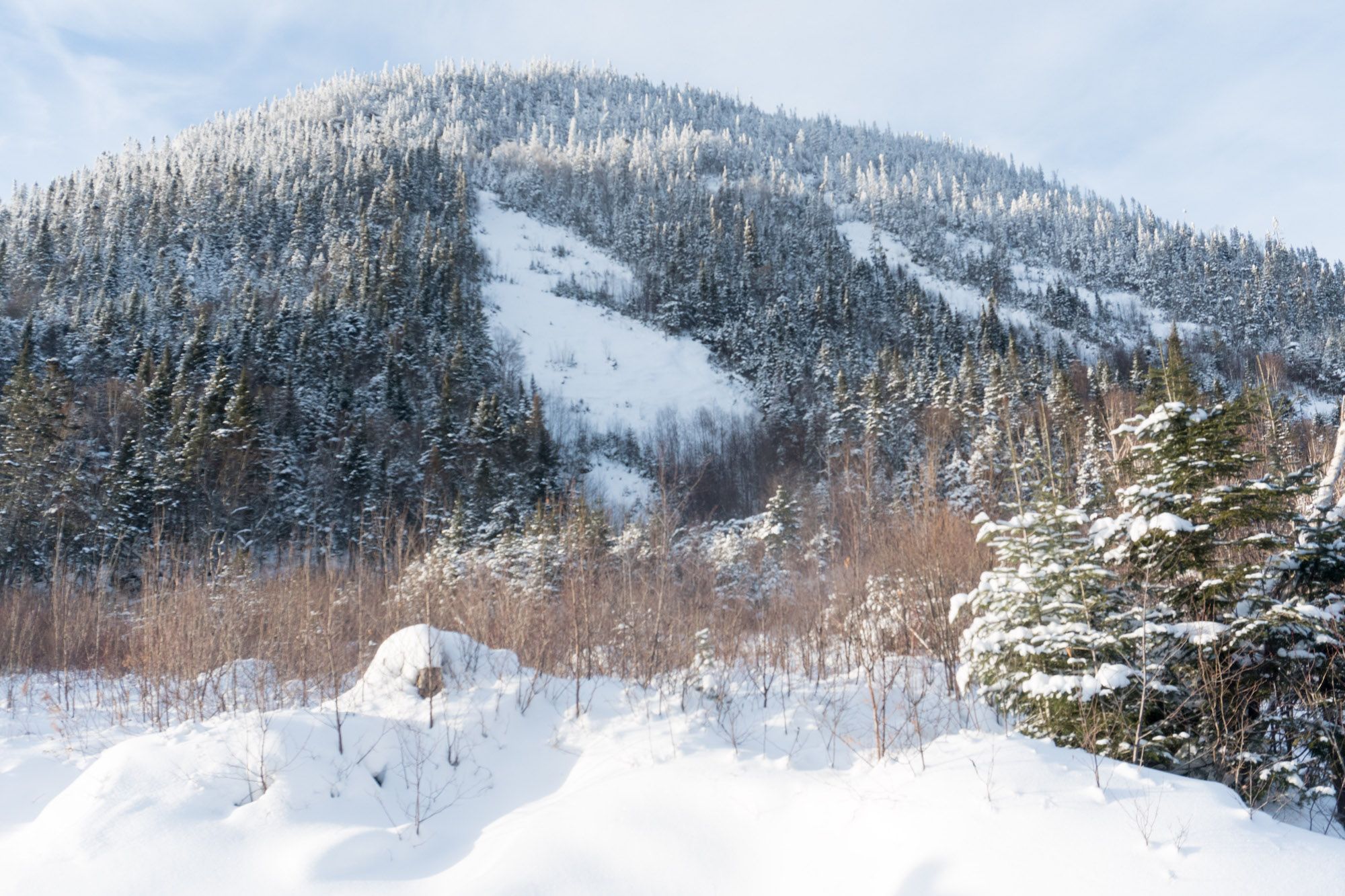 Thomas-Thiery-skieur-Nicolas-Cloutier-dos-de-cheval-8