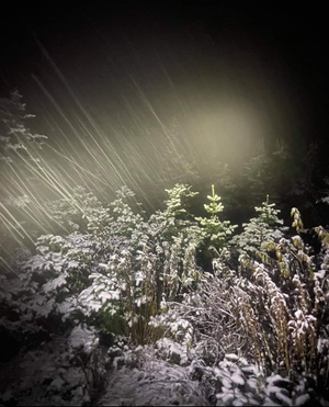 Mise-à-jour sur la chute de neige des prochaines heures