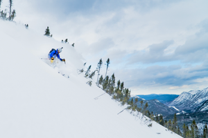 Infolettre membres 6 décembre