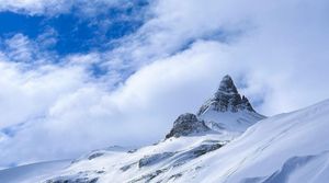 Peyto Glacier: Expédition finale