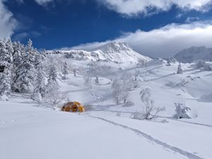 Les Perles cachées du Japon : Récit d'un voyage hors des sentiers battus