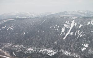 La grande quête de la poudreuse en forêt boréale