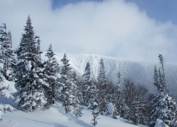 Cours avancé de sécurité en avalanche (CSA 2): Ça vaut la peine?