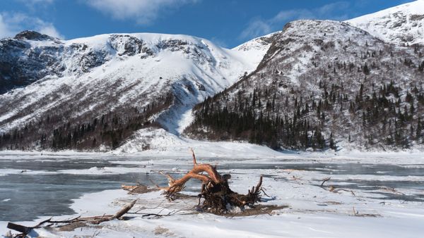 Dangerator: Un outil pour estimer le risque d'avalanche sans bulletin