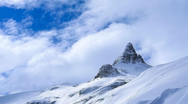 Peyto Glacier: Expédition finale