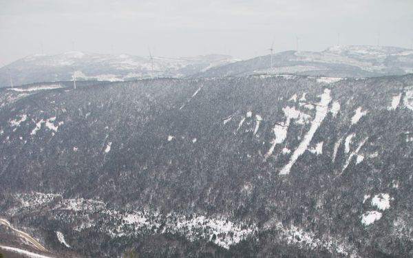 La grande quête de la poudreuse en forêt boréale