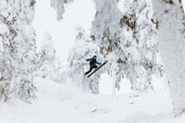Les Estski de nouvelles du 15 février